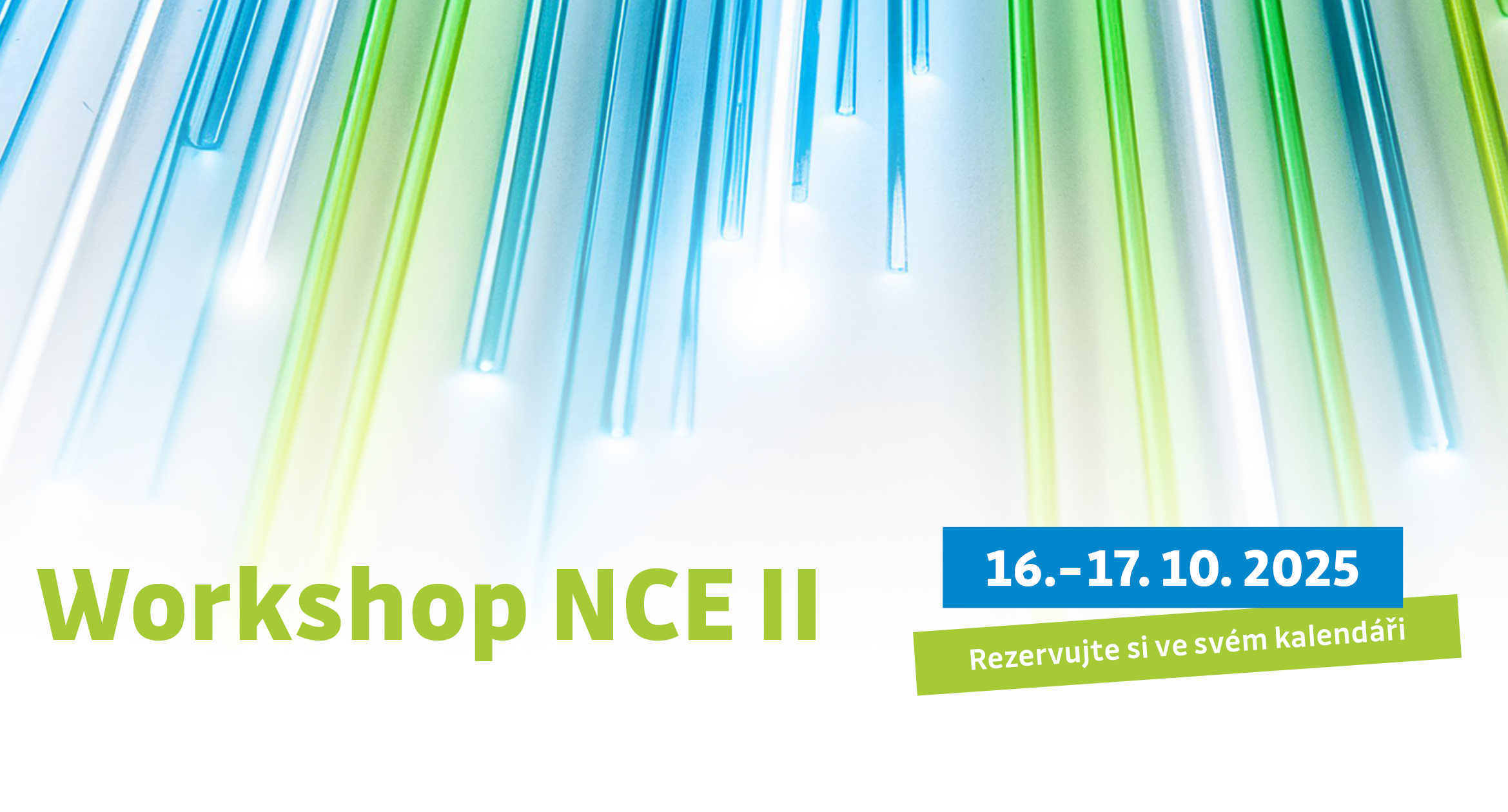 2025_Workshop NCE II