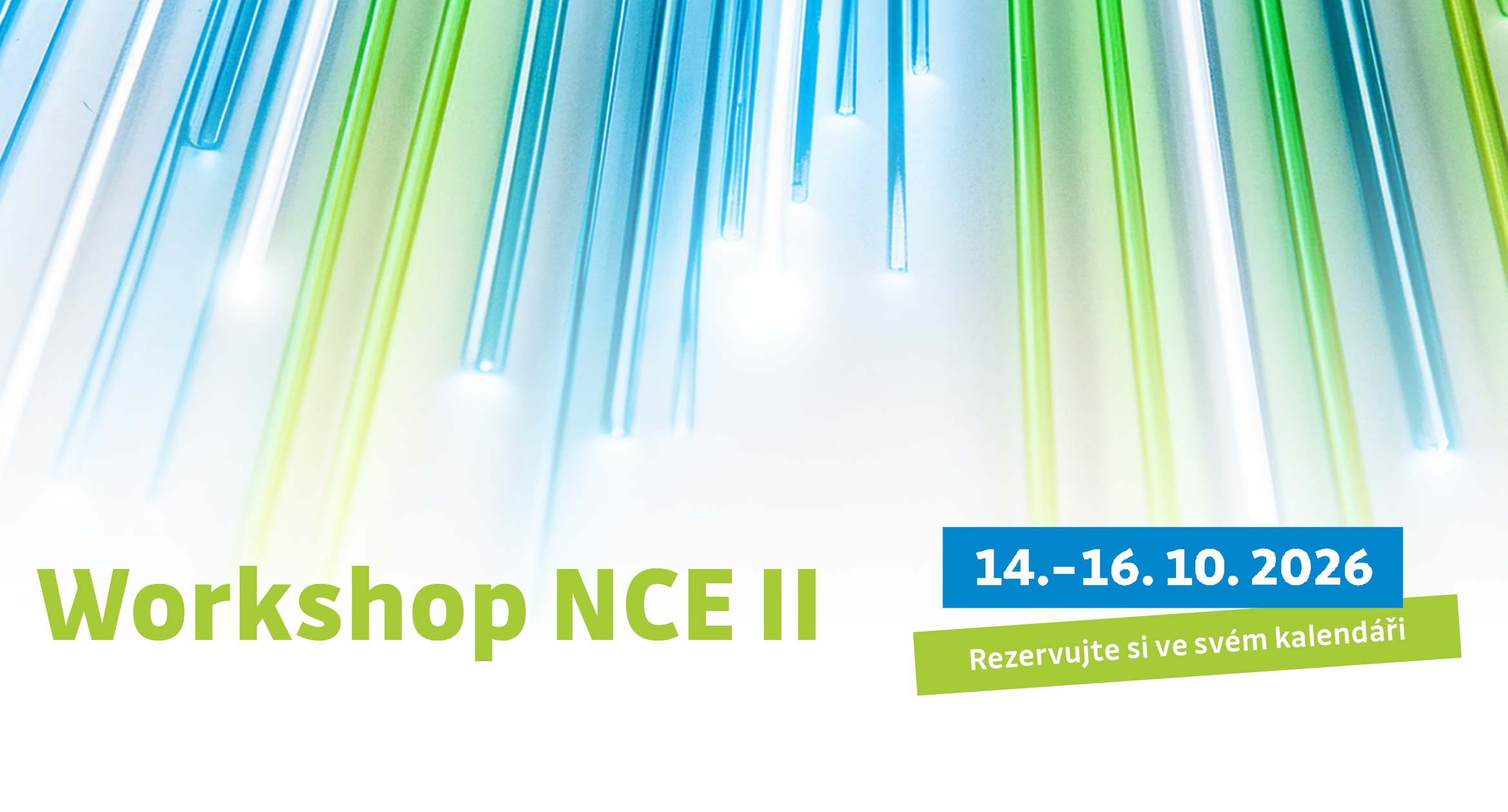 2026_Workshop NCE II